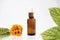face care oil or serum in amber glass bottle with pipette. autumn decor, fall sale, unbranded product. anti age and cold