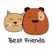Face cat and dog best friends white background.