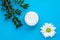Face cream jar with white chamomile flower and green branch on a blue background. Herbal lotion in a glass container, natural