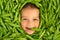 The face of a cute funny child, surrounded by green pods