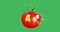 The face of a fresh tomato with glasses revolves around on a green background.