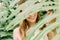 face girl peeps through palm leaves tropics