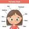 Face little cute girl. Poster head parts for leaning anatomy for kids
