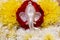 Face of lord Ganesha placed over beautiful rose and chrysanthemum flowers. Use for religious concepts