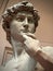 Face of Michelangelo`s David 3/4 view