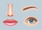 Face parts realistic. Human body eyes ear nose and mouth vector pictures set isolated