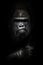 Face and powerful hand in the dark. Portrait of a powerful dominant male gorilla , stern face and powerful arm. isolated black