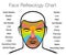 Face Reflexology Chart Mapping Massage Areas Internal Organs Body Parts