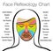 Face Reflexology Female Face Internal Organs Areas Chart