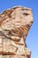 Face shaped rock formation.