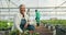 Face, smile of farmer and woman in greenhouse, agriculture and harvest tomato. Portrait, mature and person in plant