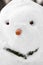 Face of smiling snowman with carrot nose, twig mouth, eyes made of leaves