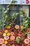 Face of a smiling vendor behind citrus fruit, Istanbul