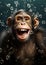 Face wild ape primate nature wildlife bonobo animals monkey chimpanzee mammal funny