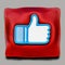 Facebook Like award on red ceremonial pillow