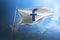 Facebook photorealistic flag editorial