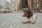 Faceless image of young stylish woman - travel blogger walking down the central city street using old-fashioned vintage