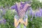 Faceless little kid girl with bouquet of bloom flowers lupines in a field in nature outdoor.