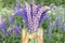 Faceless little kid girl with bouquet of bloom flowers lupines in a field in nature outdoor.