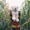 Faceless portrait of small kid with his friend toy taddy bear exploring nature together, playing in autumn corn field