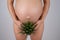 Faceless pregnant woman holding a plant. Metaphor for epilation of the bikini area.