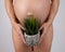 Faceless pregnant woman holding a plant. Metaphor for epilation of the bikini area.