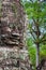 Faces of Bayon temple in Angkor Thom, Siemreap, Cambodia.