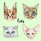 Faces of cats of different breeds. Set. Vector. Watercolor