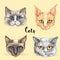 Faces of cats of different breeds. Set. Vector. Watercolor