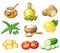 Facial mask ingredients for home face skin care. Cartoon vector food icons set