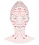 Facial massage. Facial massage lines for skin beauty and youth, vector illustration