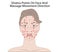 Facial Massage Technique and Shiatsu points, acupuncture Vector Illustration