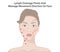 Facial Massage Technique and Shiatsu points, acupuncture Vector Illustration