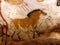 Facsimile reproduction of a horse from Lascaux cave in Dordogne