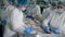 Factory conveyor with many female employees packing food