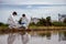 Factory scientists or biologists wear protective clothing while Collecting water samples in natural water sources near farmland.