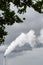 A factory smokestack emitting white smoke against a stormy sky with foliage in the foreground