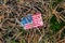 Faded american flag sticker crumpled and thrown in a pine forest