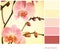 Faded pink orchid palette