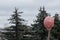 A faded red old helmet hangs on the handle of a spade. Against the background of green spruce.