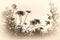 faded sepia background of daisies