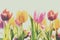 Faded vintage background of fresh spring tulips