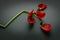 Fading red flower on a dark background.