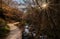 Faedo de Cinera Beech forest and river, wooden footbridge hiking trail Leon Spain