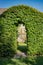 Fagus sylvatica hedge with passage and blue sky