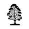 Fagus sylvatica Icon hand draw black colour tree logo symbol perfect