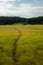 Faint Trail Through Meadow To Wrangler Lake