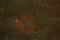 Faint View Of IC1396 in Cepheus
