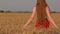 Fair-haired girl in a red skirt walks and stroking ripe ears of wheat at sunset