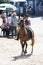 Fair horse in the village of Escusa in Galicia Spain